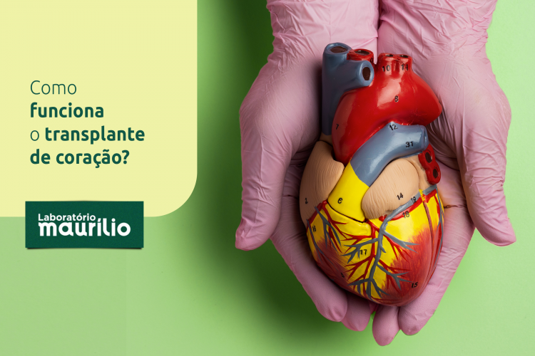 Como funciona o transplante de coração?